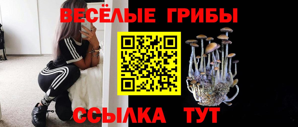 Тавда  Псилоцибиновые грибы мухоморы  Вход с VPN 